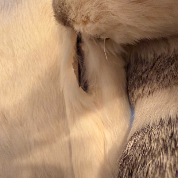 Vintage 80’s Rabbit Fur Jacket - Picture 4 of 5